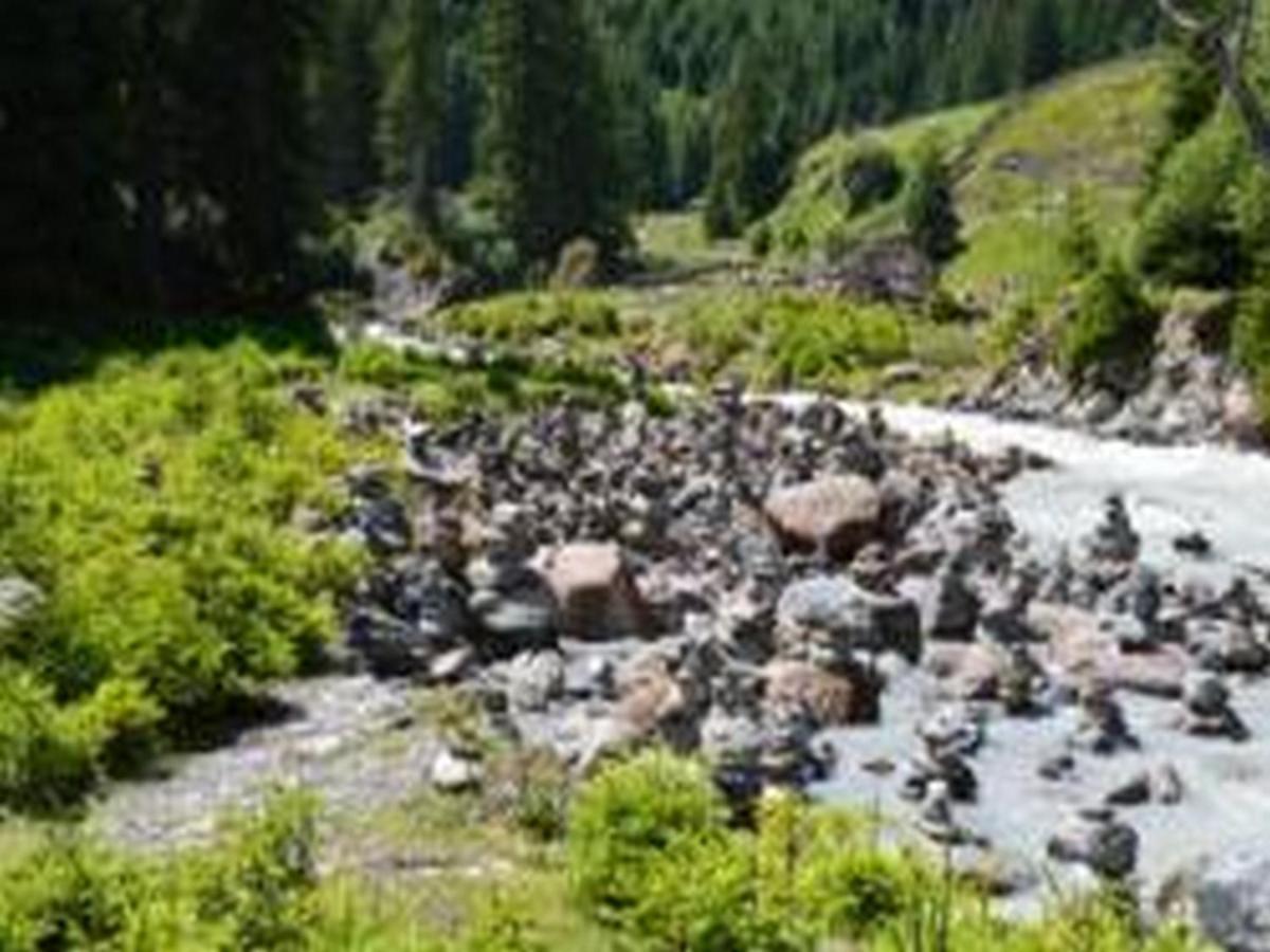 Villa Haus Bachstelze à Neustift im Stubaital Extérieur photo