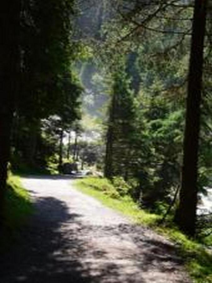 Villa Haus Bachstelze à Neustift im Stubaital Extérieur photo